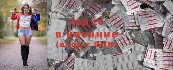 PSILOCYBIN Алзамай