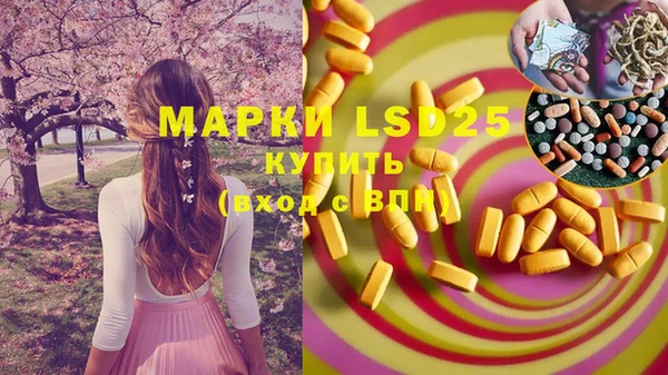 PSILOCYBIN Алзамай