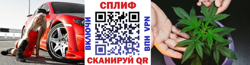Бошки марихуана планчик  Железногорск-Илимский 